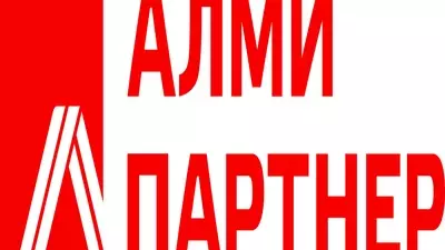 ALMI PARTNER